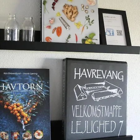 Havrevang Lonstrup, Luksus Ferielejligheder
